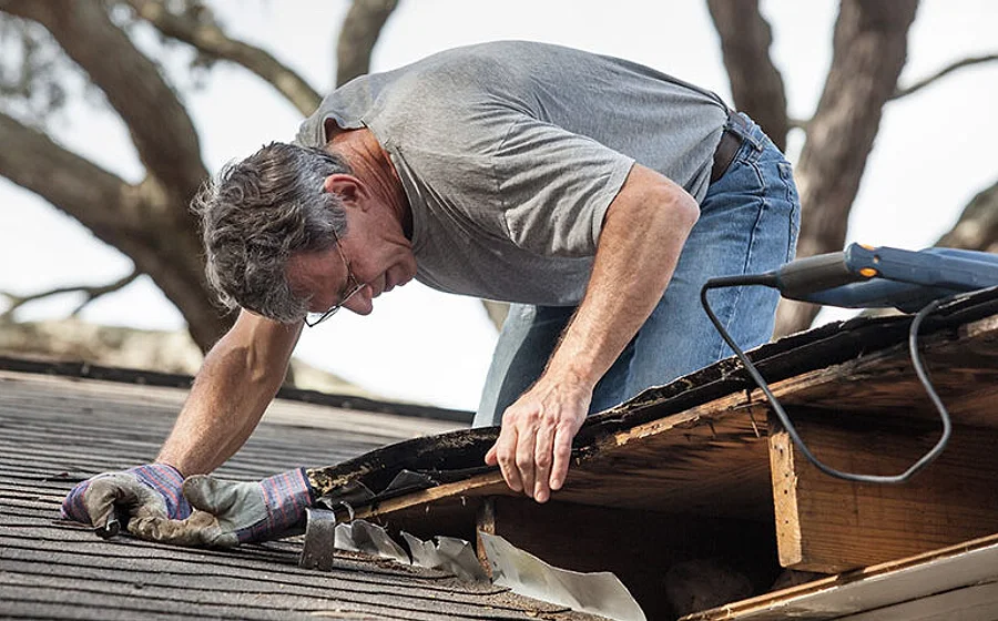 A roofer investigating and repairing a roof leak